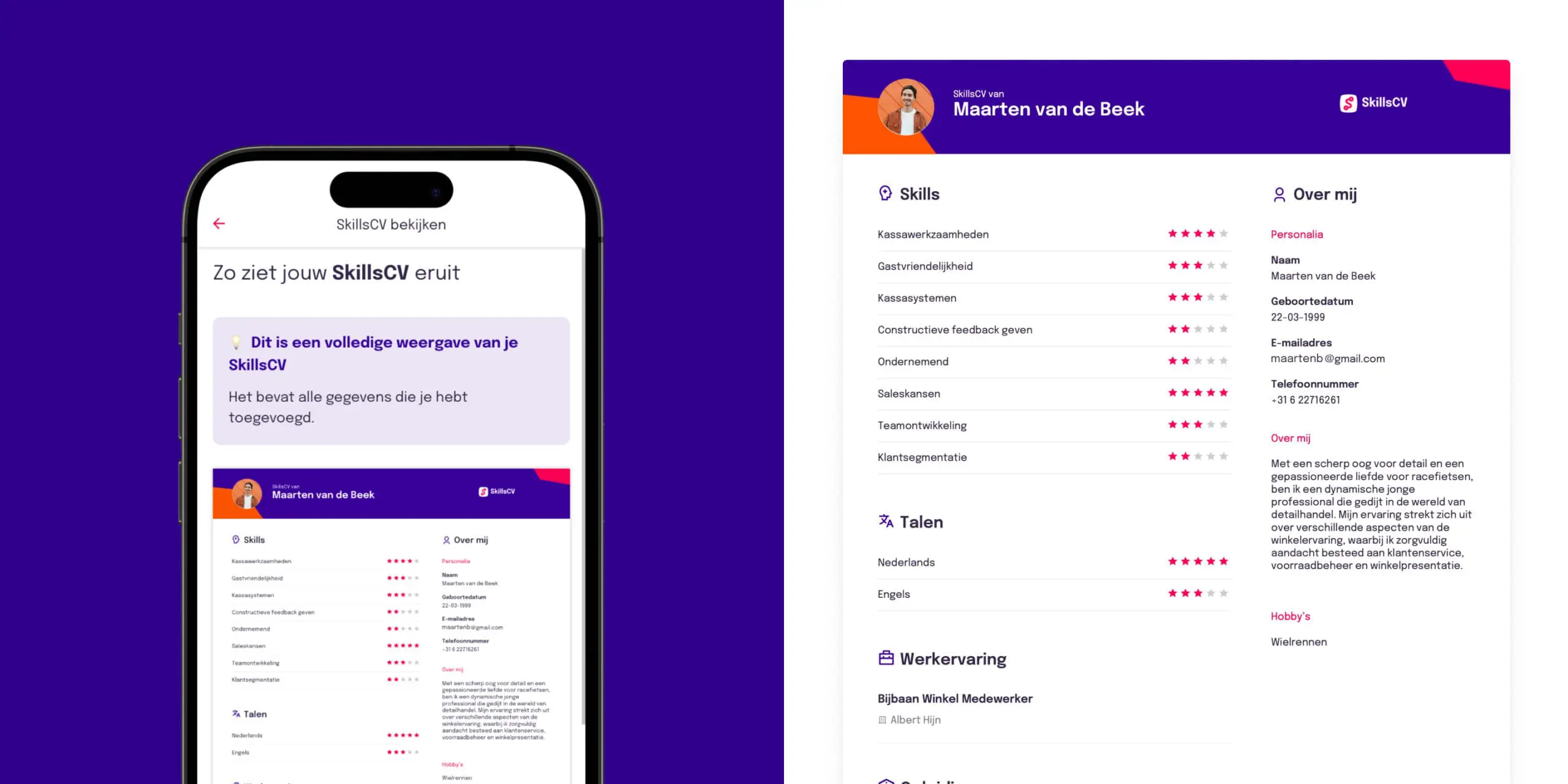 Screenshot van een SkillsCV CV