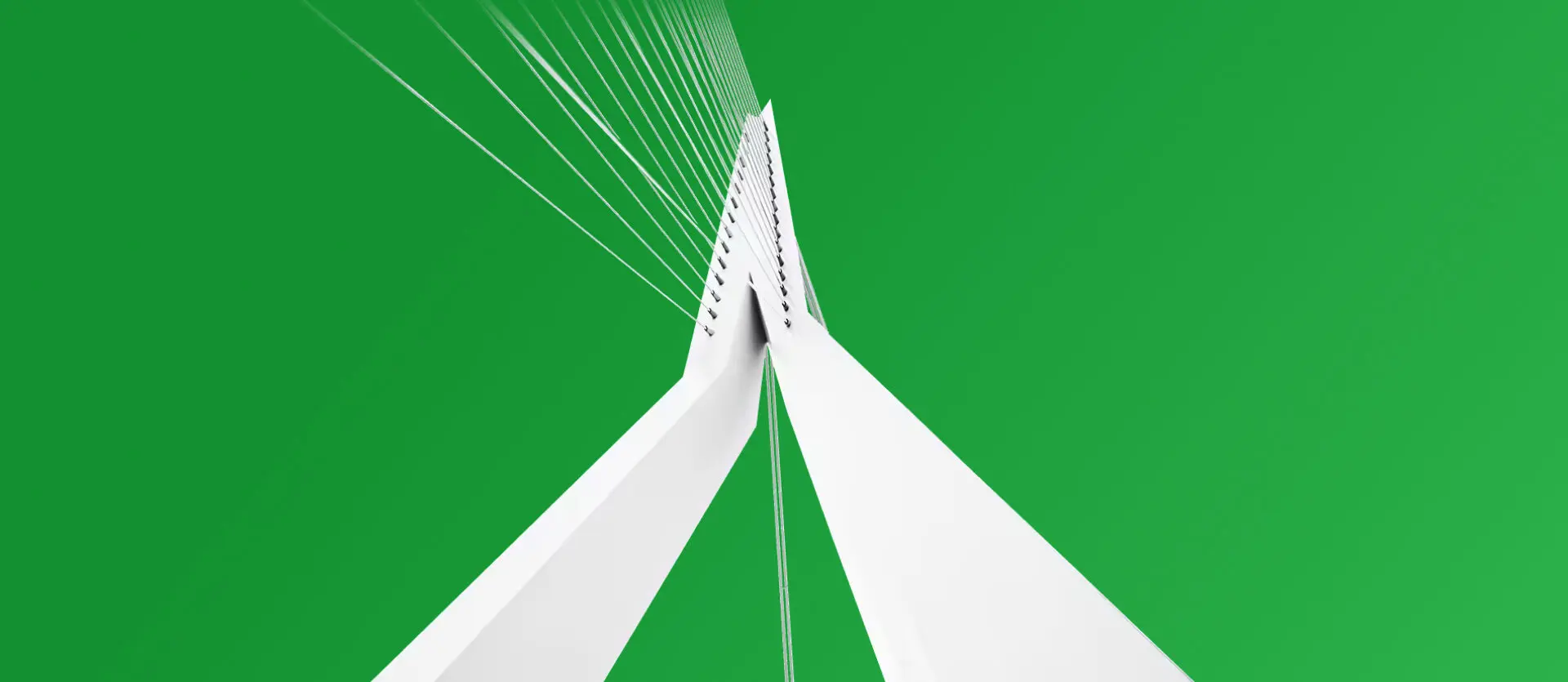 erasmusbrug illustratie Gemeente Rotterdam
