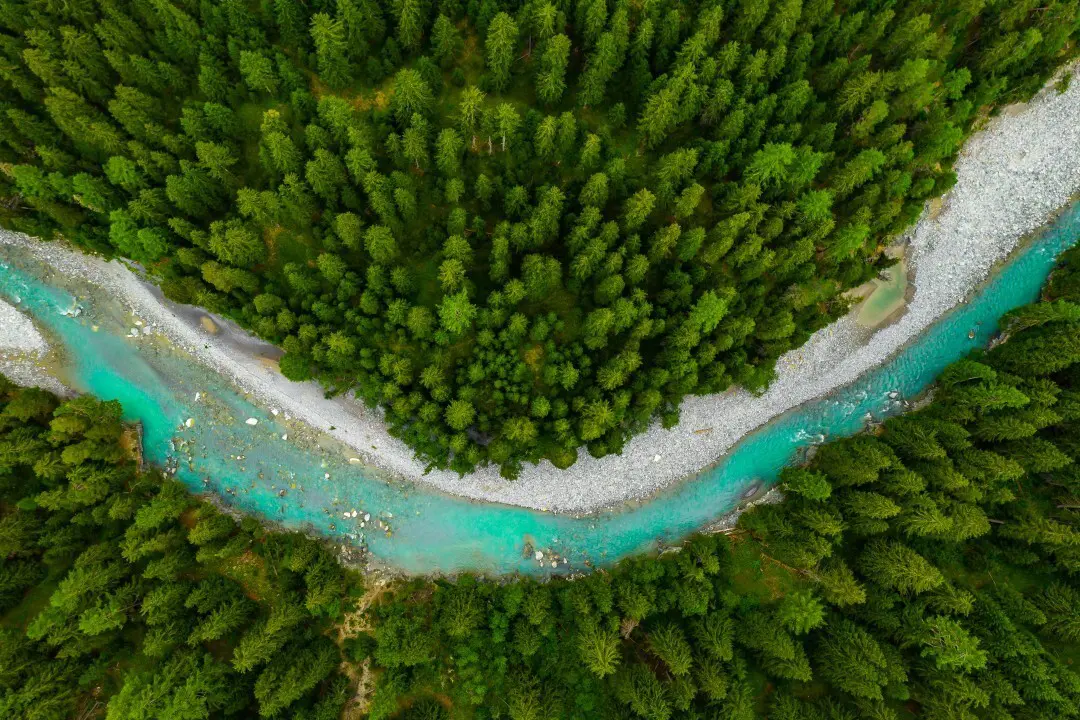 Foto van een bos bovenaanzicht