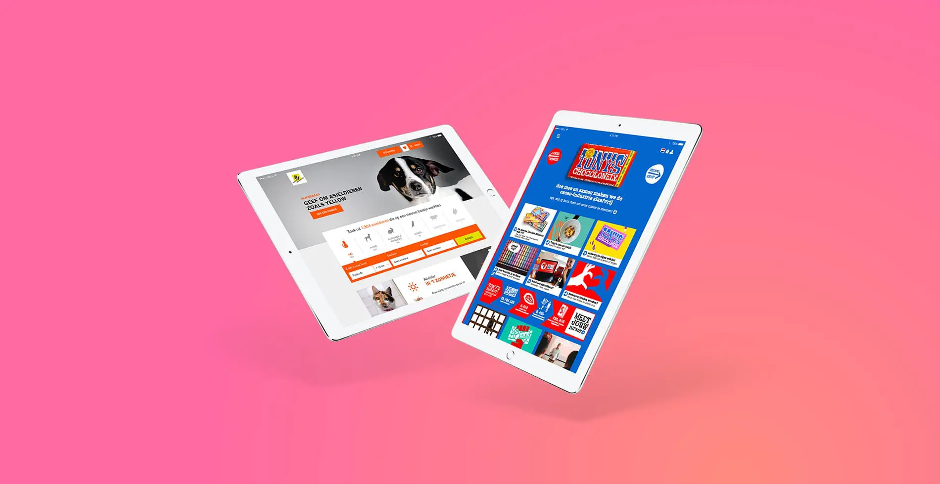Header foto van website van het jaar 2019