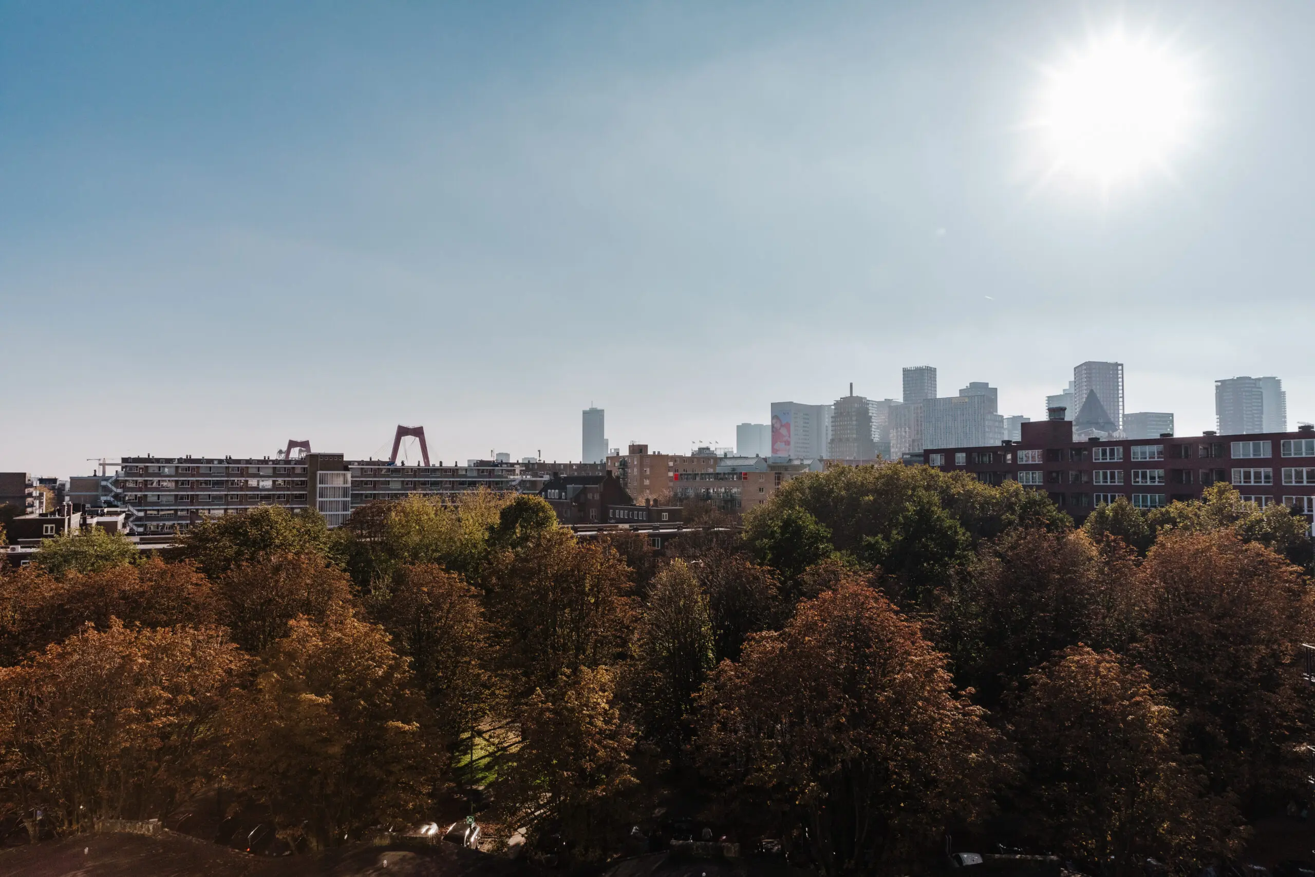 uitzicht over Rotterdam tijdens Bitfest